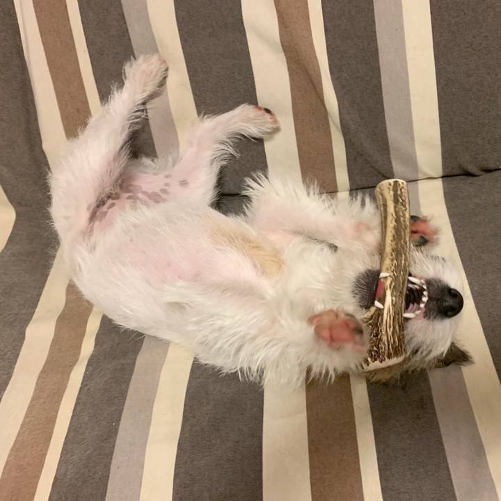 E8a4e6c4 cd3b 4a41 9740 27262cfbbb37 1575199576800