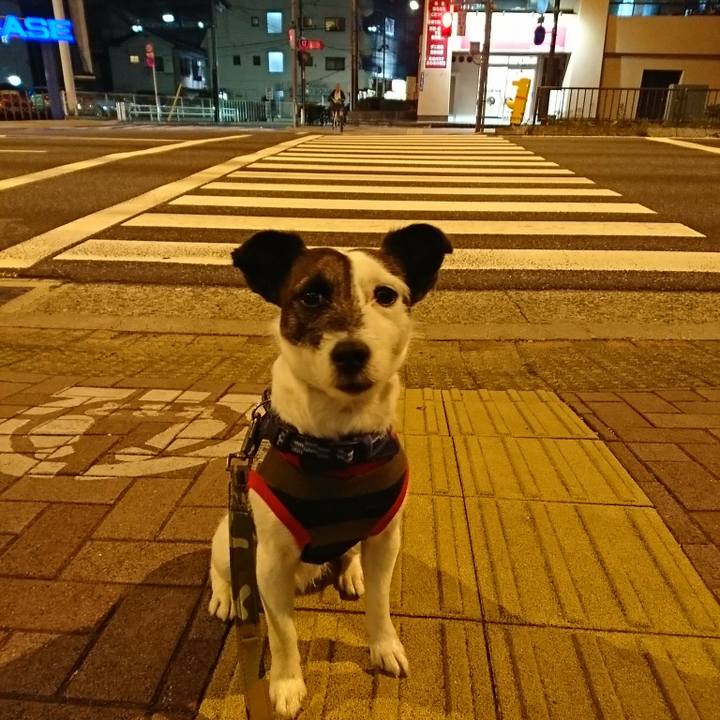 E8a4e942 493a 4735 8f2f 9a520fe9d1b7 1523012777343