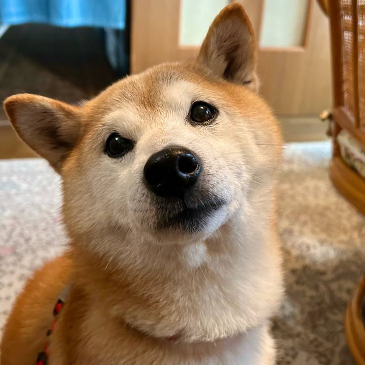 E8a4fde5 8e01 4d1b 8a09 5daf0e25620a 1736077611820