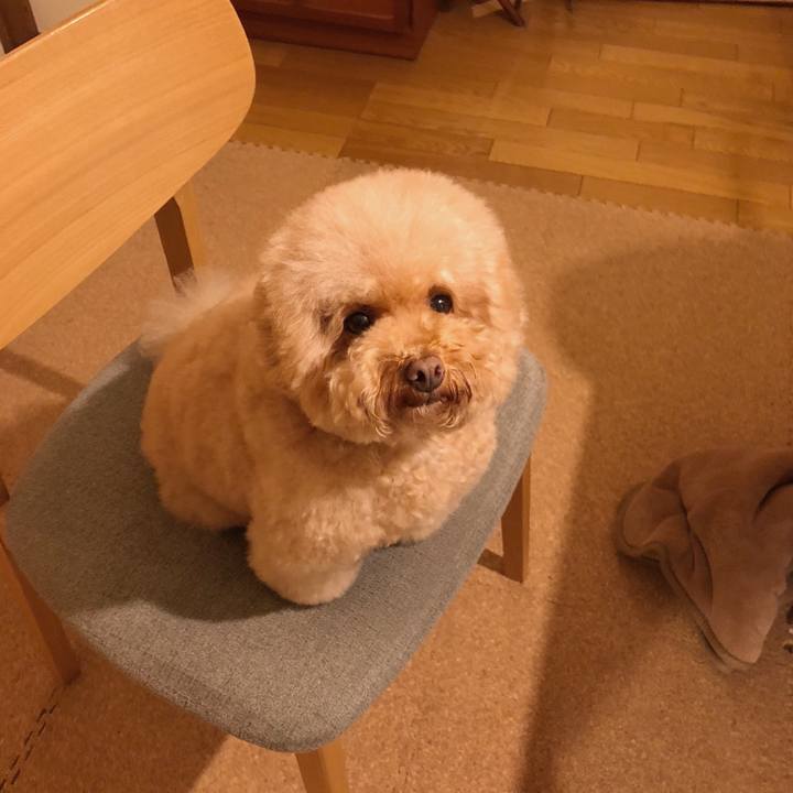 E8a5021d 33ae 4b21 b1ab fb55ac79a18d 1508071500592