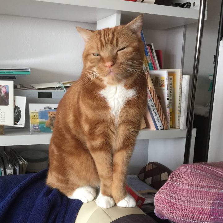 E8a509ca f47b 41f1 adfa b40b42034328 1535853509270