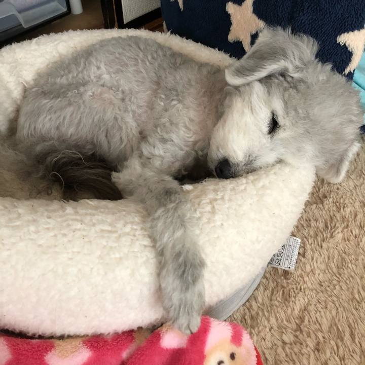 E8a51e35 4be7 42ec b2b9 299ff9c8cd7a 1590040540183