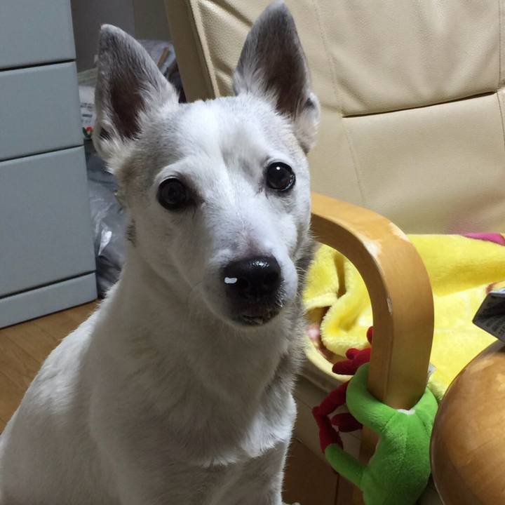 E8a543a5 fb9c 478f abba e5f9122b8659 1763163859337