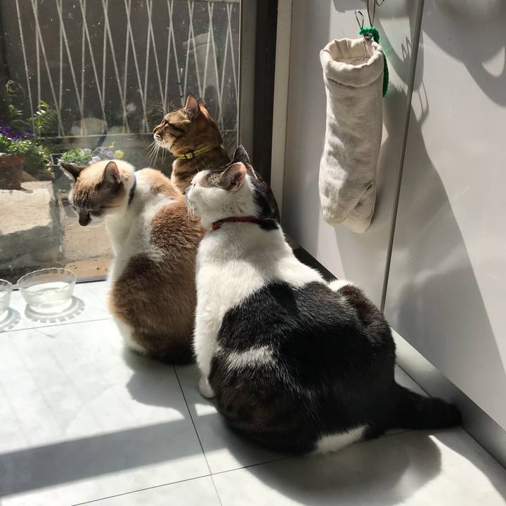 E8a56420 e0e7 445e 92ce 1789890c1b28 1520738341532