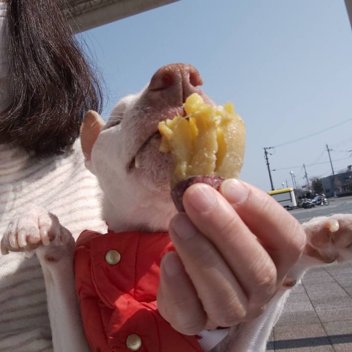 E8a57abe db21 48b2 b971 fce118997260 1613884221915