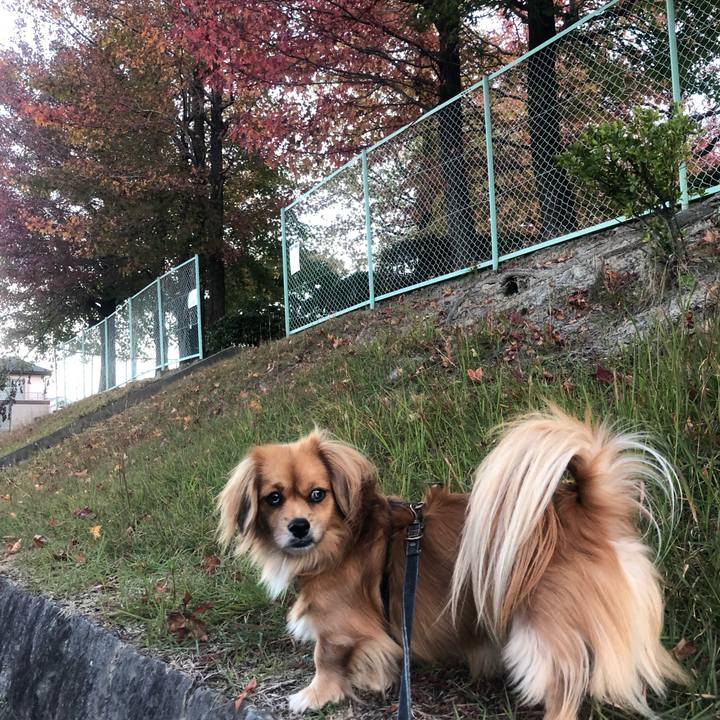 E8a58571 dd26 4bba b31e afdb27315e2a 1541109760534