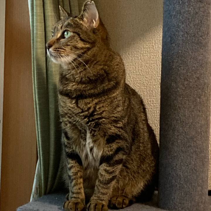 E8a5d4b0 7c79 430c 83ae 02160c53e2e2 1626871002042