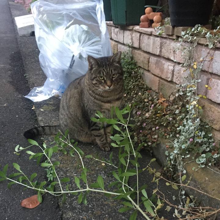 E8a5de03 6f58 496b 8826 caf4997caf96 1511954660397