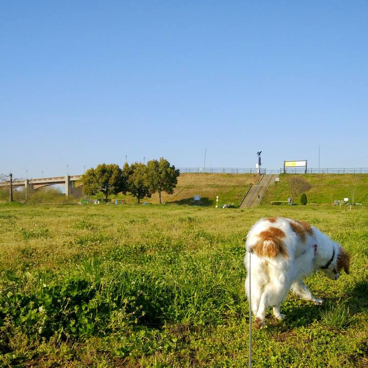 E8a5e03e 06aa 4696 a682 ac663b1d2d2a 1554169660795