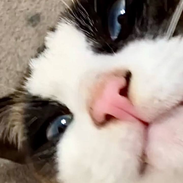 E8a5e51d 65d0 4257 b38a 58c08a9db9fe 1742613610335