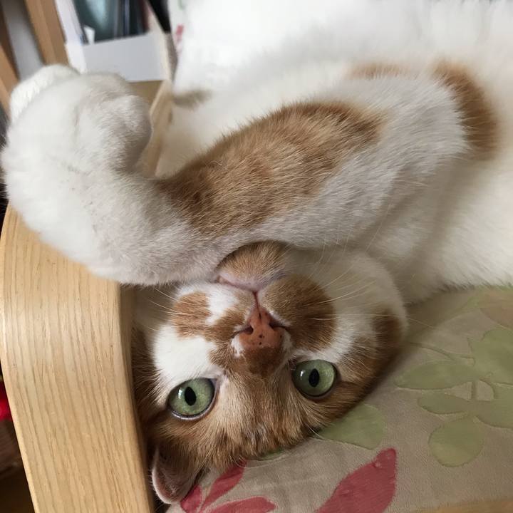 E8a5efe1 422b 4c45 a27e 6daa2680f283 1556755306763