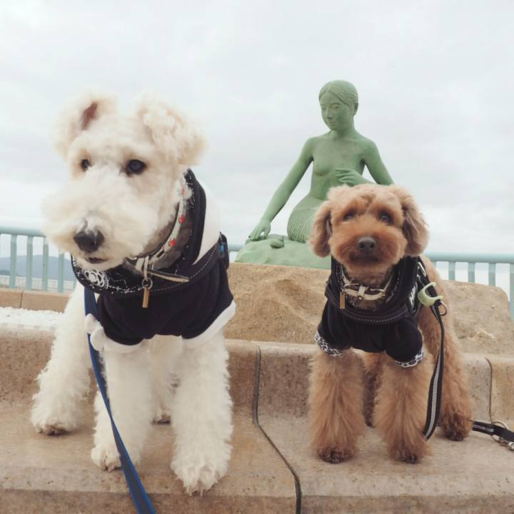 E8a6155c ee52 4aa0 8746 fa0af531840f 1515316860711