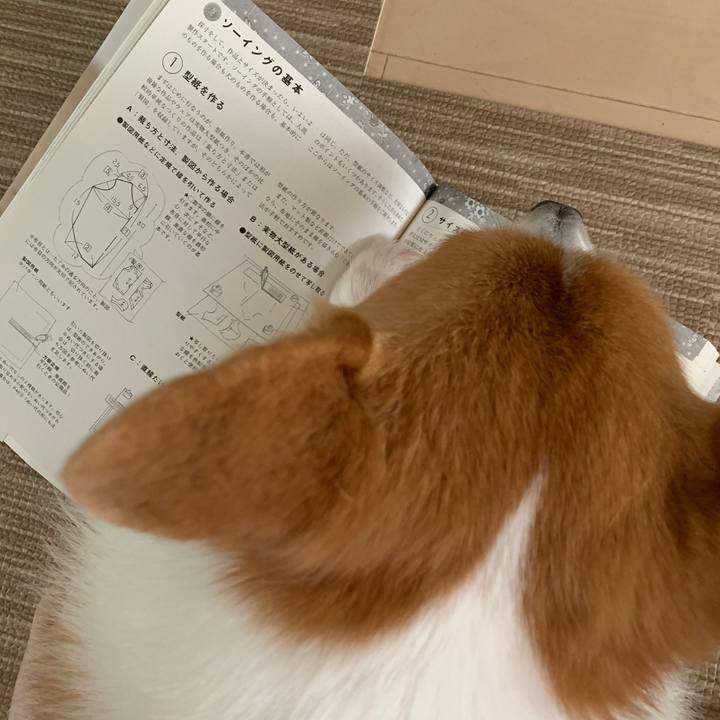 E8a61fad 82e9 44ca b9e9 c62921a0b30b 1572308706370