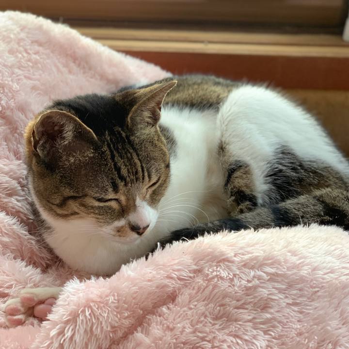 E8a62022 2cf0 48a2 ae81 d31abfd9f86b 1586479866241