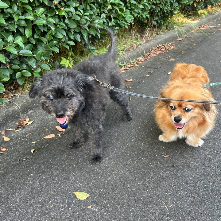 E8a662c0 1336 4bb4 9896 f48ec4999969 1755221216858