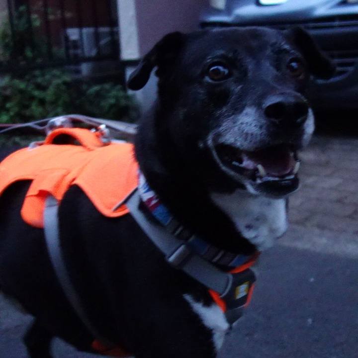 E8a664f7 4b39 4f85 b185 cd8265e69394 1751625285247