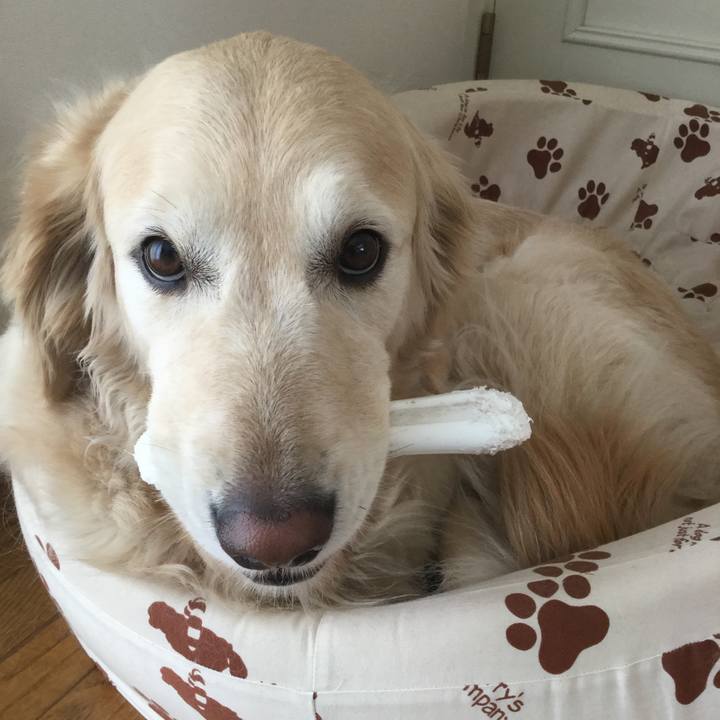 E8a666d6 6a2e 498e 842b c2c9dc29304b 1524710580504