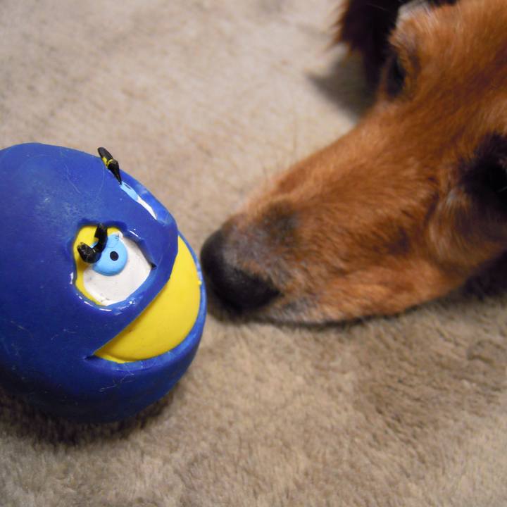 E8a6ac3f ea83 4ed4 bba8 1dd6b4cad777 1572287480171