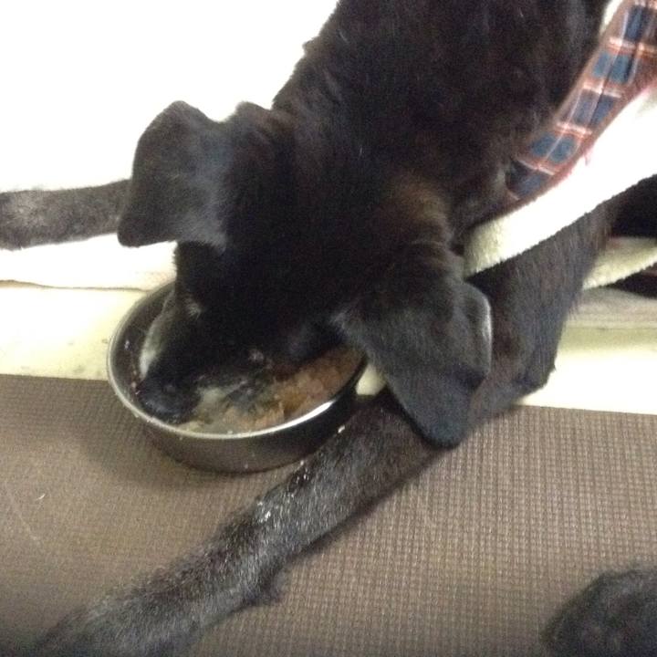 E8a6ce3f 54eb 4297 b1f0 112f8eec70b1 1515642496045