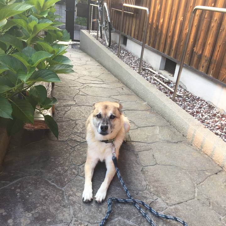 E8a6f4a0 7bc7 472f 9d14 787143495aaa 1531953440899