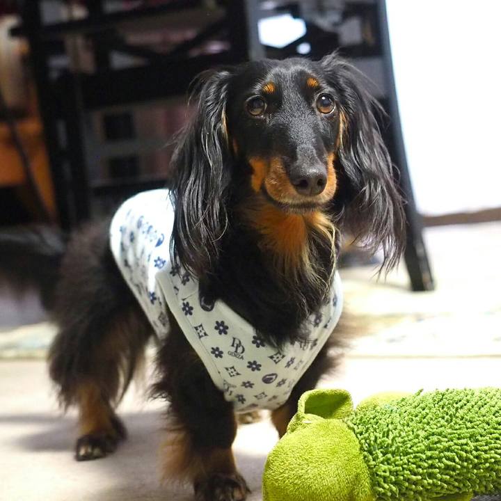 E8a759f6 35ce 406d 813d c7da70f577fd 1530576441345