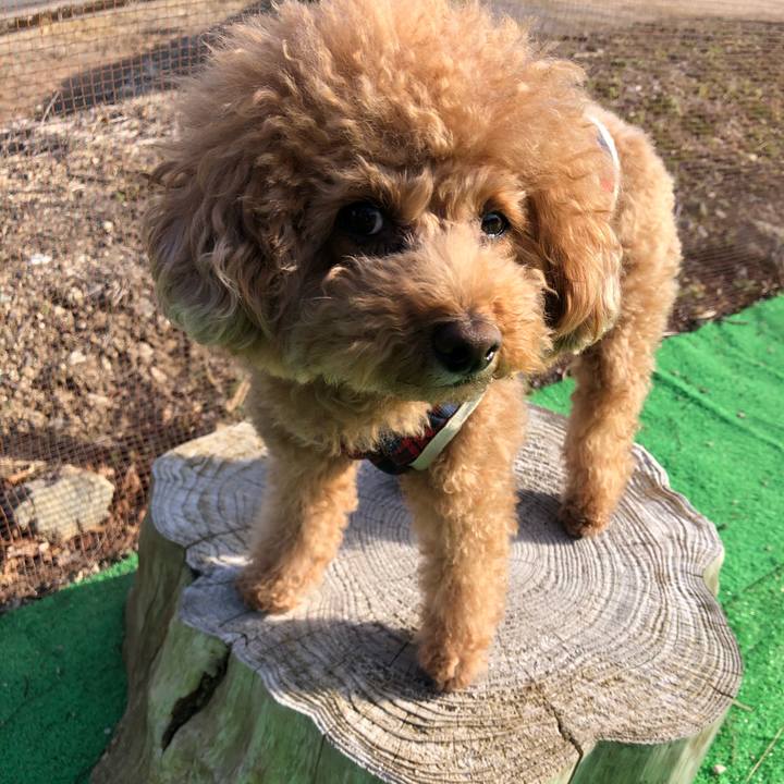 E8a75a14 73fd 4dff ac5e 4c9824f07576 1613127771414