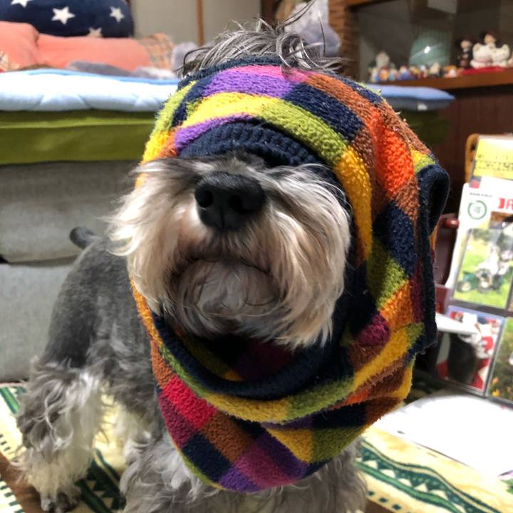 E8a768a2 bc6e 4797 9aa0 8298116842f4 1639149414988