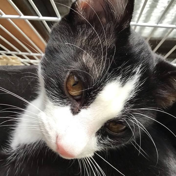 E8a77a59 8964 4b48 a728 dbd1b3ff4992 1635323785502