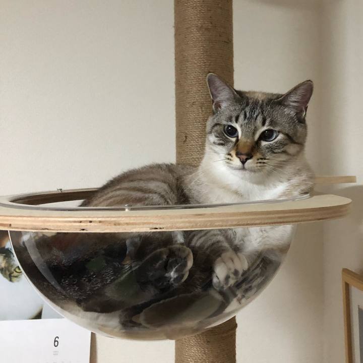 E8a77d18 c2c4 42da b85c 04c0ec1ade48 1656575556388