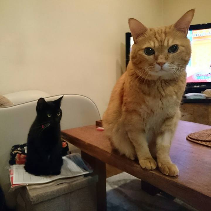 E8a7901b bfc6 4b07 8bc5 66fed4a12114 1508249439972