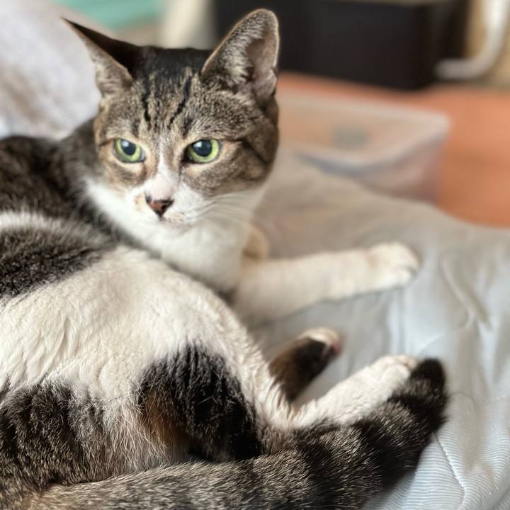 E8a7c1b5 dec4 47bd 923a a43f7f3d17a5 1664412365320