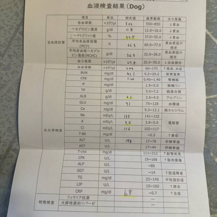 E8a7c985 7eda 4831 8c65 be6843770056 1714193570165