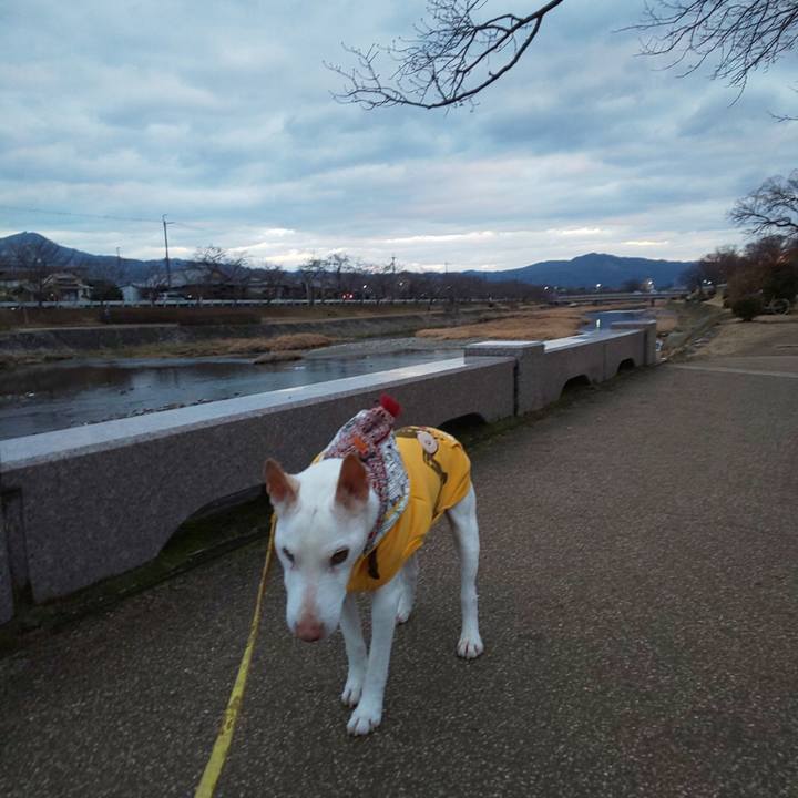 E8a7d170 0e29 4543 979a afa270576d39 1548749653444