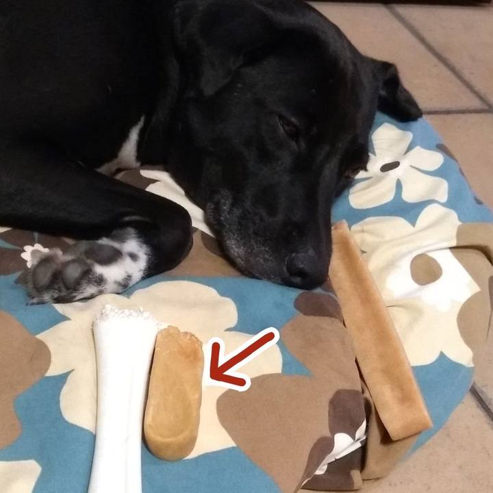 E8a7d26d 48ca 4c59 a8b3 27c2026e7283 1626136196264