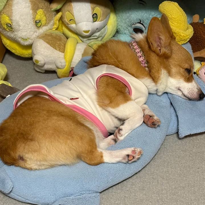 E8a8724b 702c 4868 ac52 1d05c303c12b 1772321576647