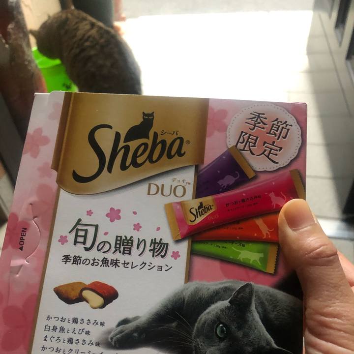 E8a87c81 ce26 4295 8f8e 5644c7492522 1551334988772