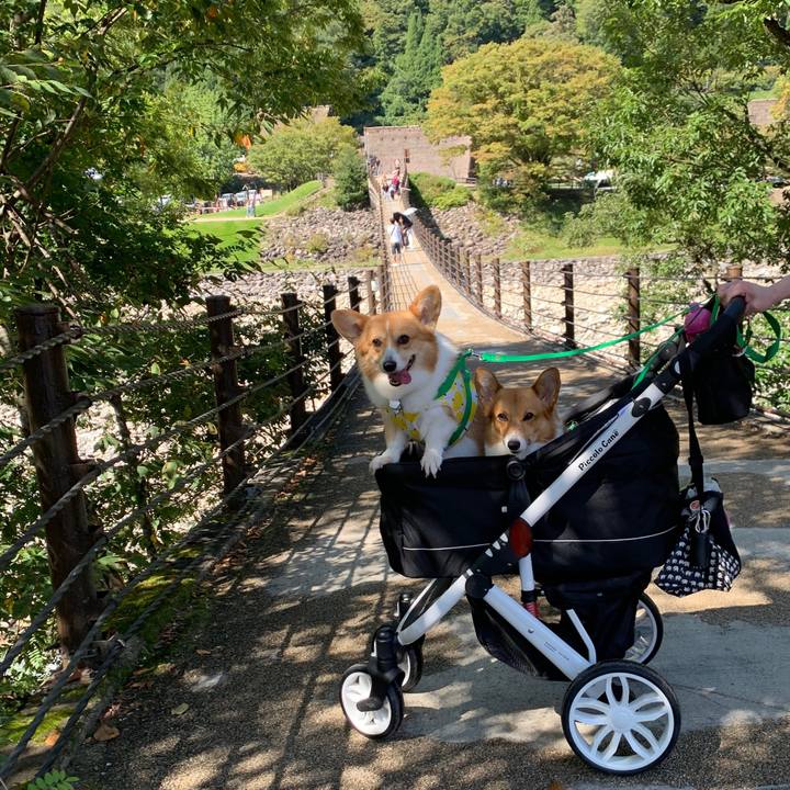 E8a8b09f ce36 4ed5 94d0 8781a7c95f20 1569038454138