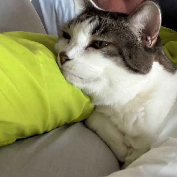 E8a8d383 ffc7 47be 9fbf d23c795ffe8e 1764368451642