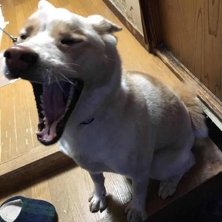 E8a8d755 d3a9 4765 862e a1cf1057a04a 1516609526248