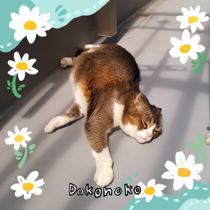 E8a8dd85 f3e4 4f26 8466 bd635110e5d7 1712459843115