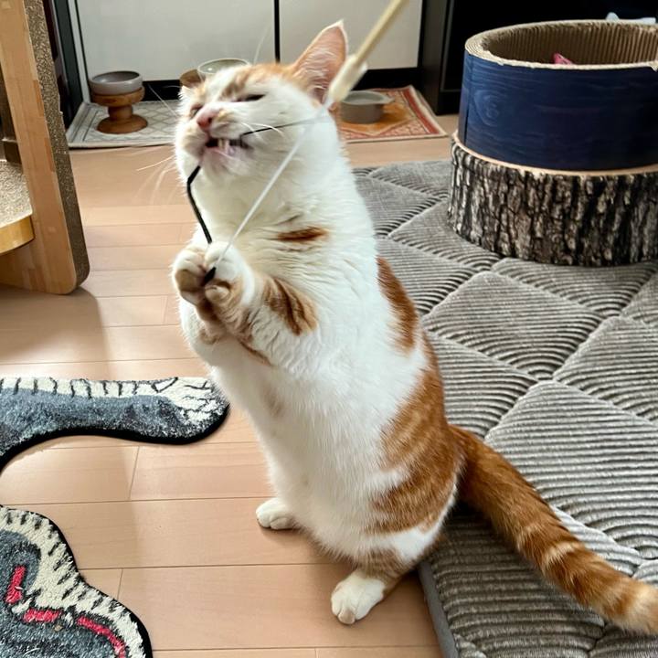 E8a8f1d0 bf6a 47db 9724 d2938ad043cc 1757561973872