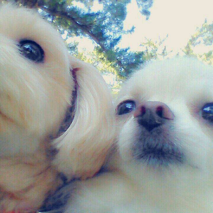 E8a8f6fa bfd6 4a2c a588 6bcb033e04cc 1557548699968