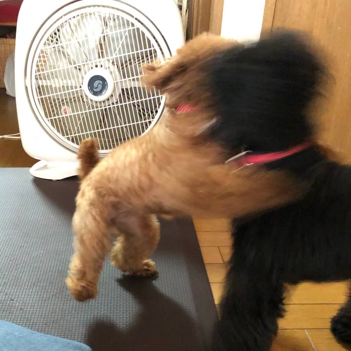 E8a90e82 48d4 466b 9852 a0e231571dfd 1570662340534