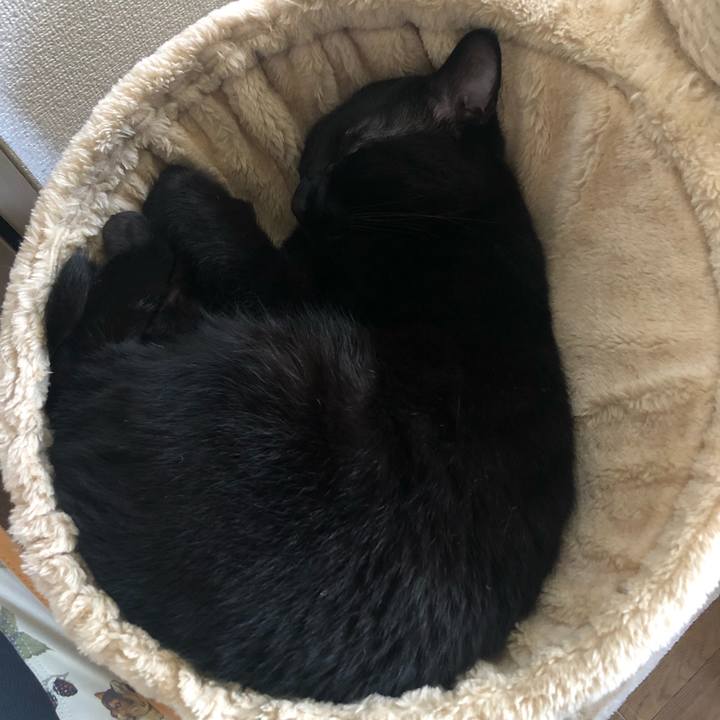 E8a96491 3329 4e0e b145 c5f5c47507a8 1628122980328