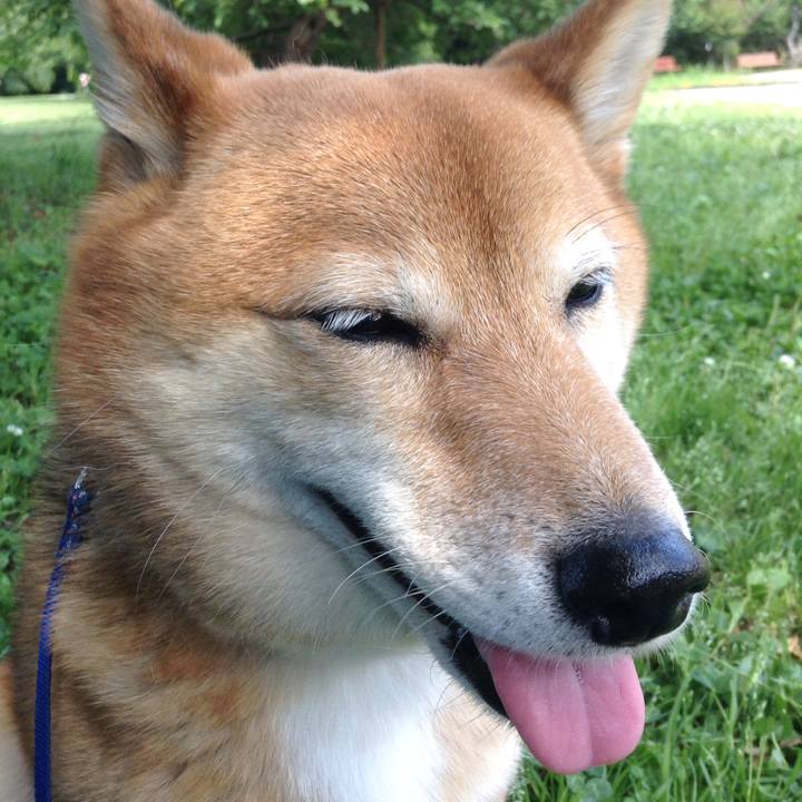 E8a98f77 f311 4cb7 9036 29fe15be9326 1527845454794