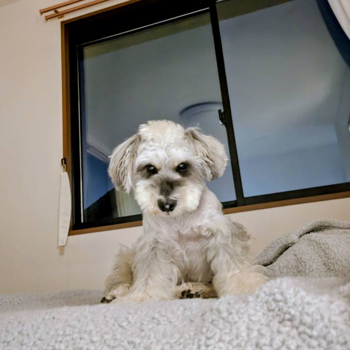 E8a9b015 c368 4c7e 9f08 fdfdeabdceb6 1757594703693