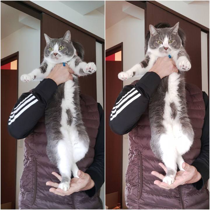 E8a9e4c9 b950 4ff6 b9aa 5d1a51b6d450 1673747491876