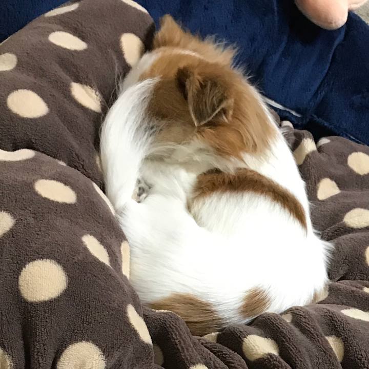 E8a9ec34 ef09 46d5 8e37 33807c850ade 1512730264509