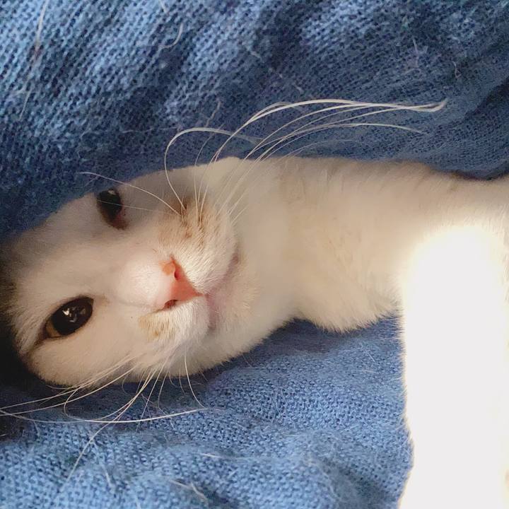 E8aa3d28 7907 4992 a95b b625c27e4ea6 1586562367162