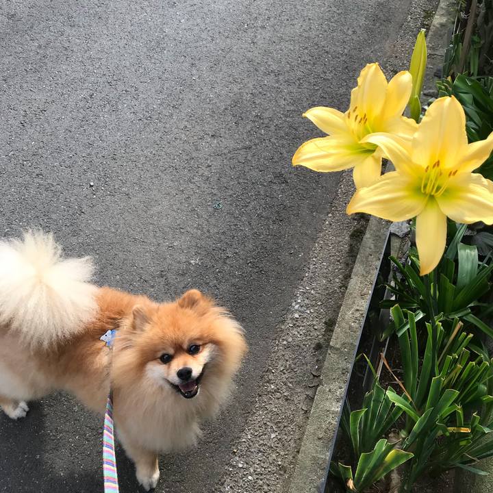 E8aa423a d935 4bfa 98c8 915ad04f6652 1531263197379